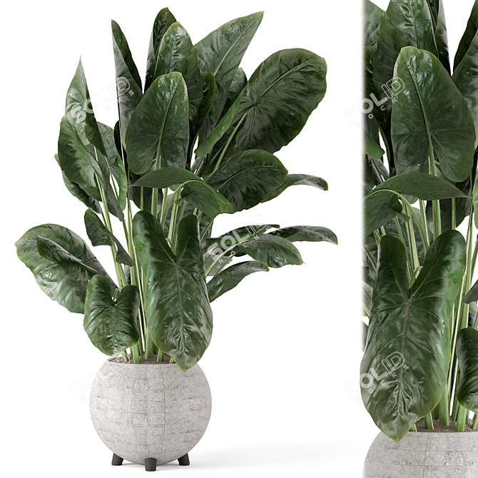 Handmade Stone Pot Indoor Plants 3D model image 2