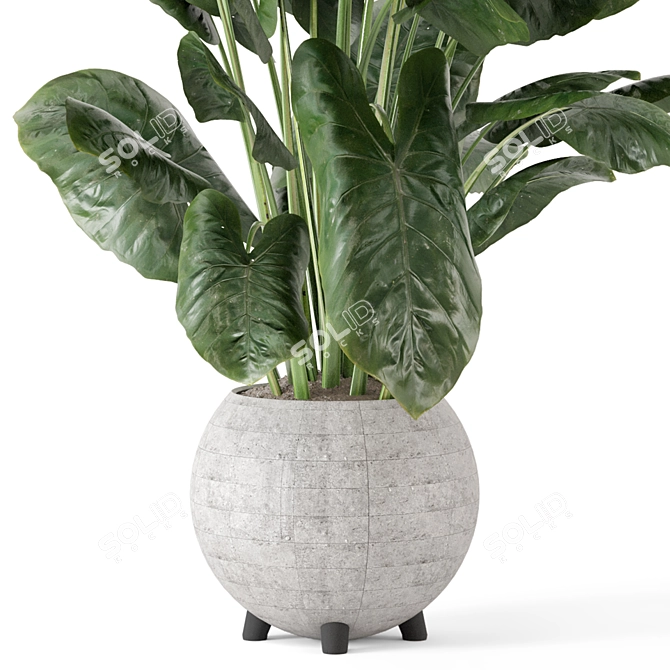 Handmade Stone Pot Indoor Plants 3D model image 4