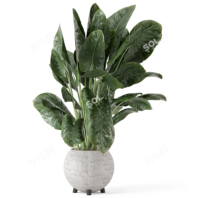 Handmade Stone Pot Indoor Plants 3D model image 5