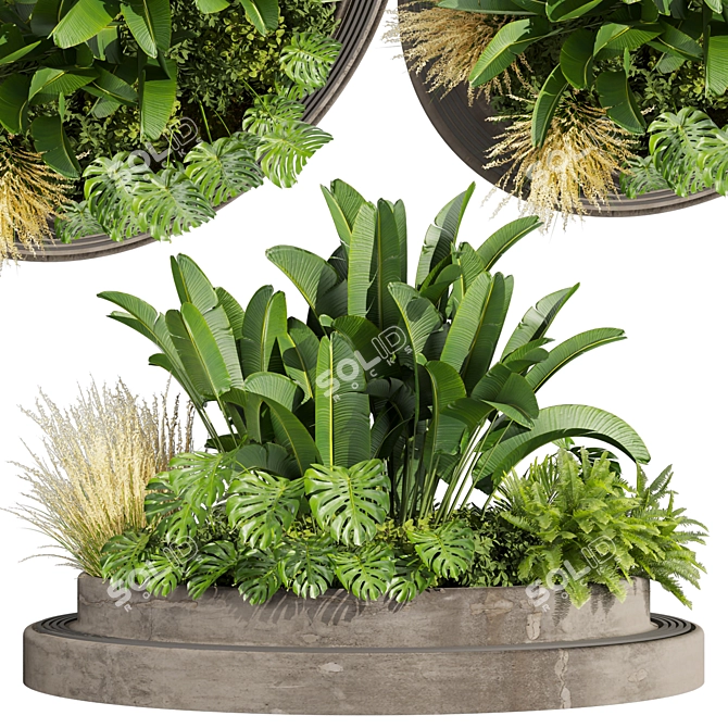 Premium 3D Garden Plant Collection 3D model image 1