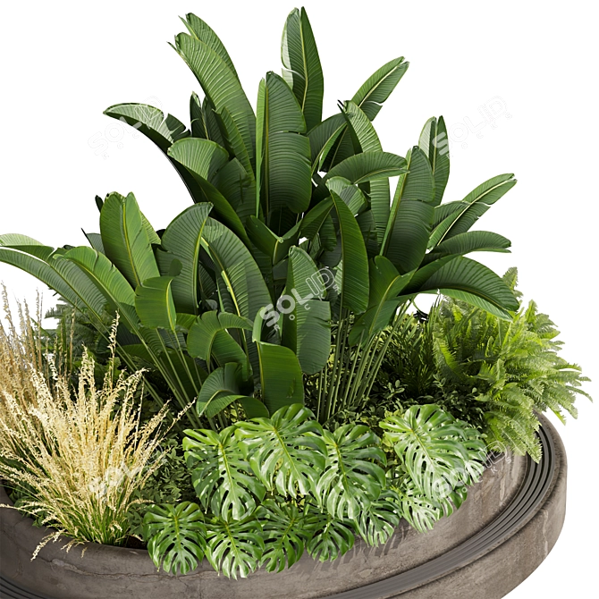 Premium 3D Garden Plant Collection 3D model image 2