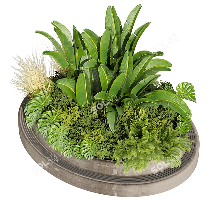 Premium 3D Garden Plant Collection 3D model image 3