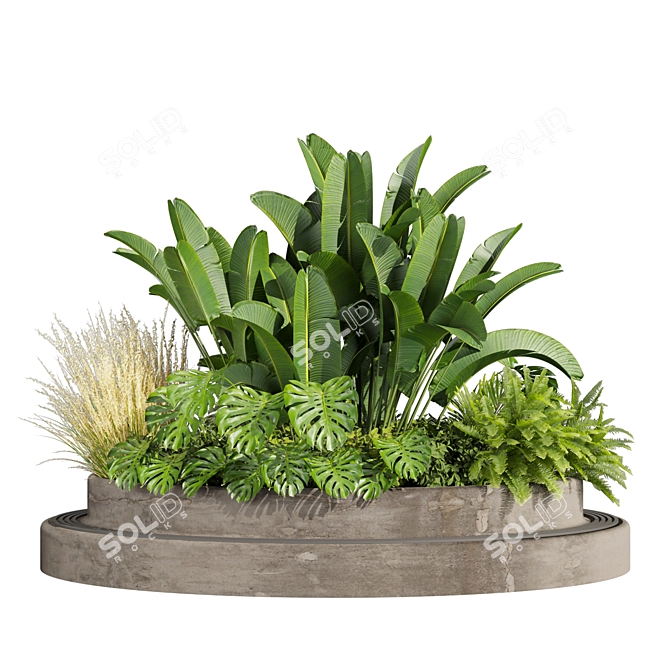 Premium 3D Garden Plant Collection 3D model image 4
