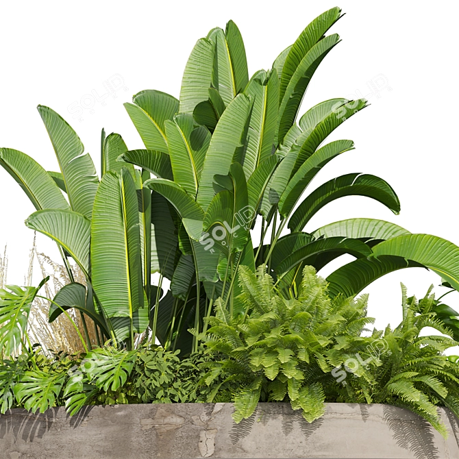 Premium 3D Garden Plant Collection 3D model image 5