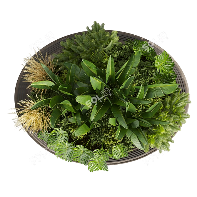 Premium 3D Garden Plant Collection 3D model image 6