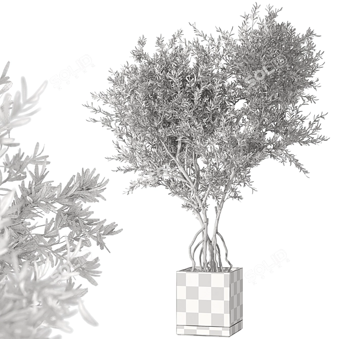 Minimalist Living Plant in Concrete and Wood Vessel 3D model image 6