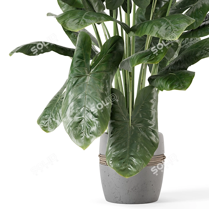 Handmade Stone Pot Indoor Plants 3D model image 3