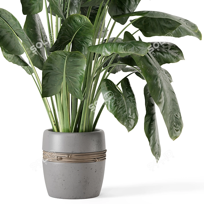 Handmade Stone Pot Indoor Plants 3D model image 4