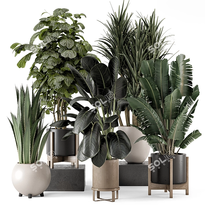 Modern Indoor Plants Set 1836 3D model image 1