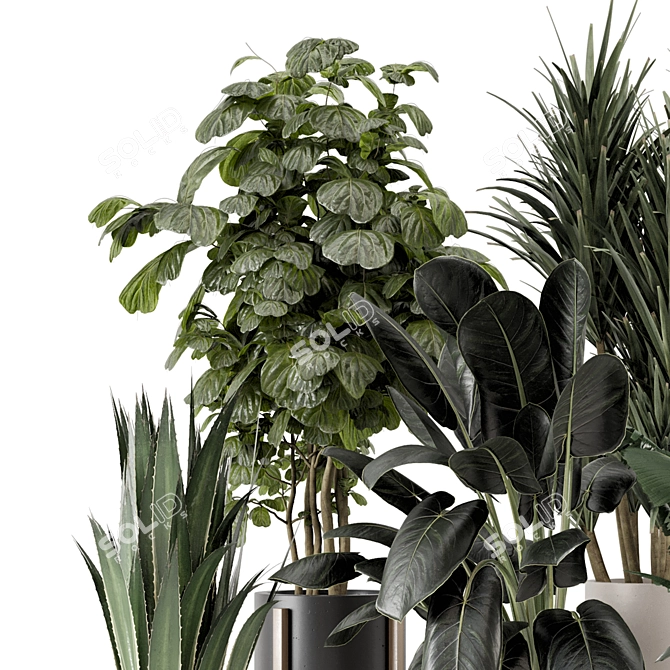 Modern Indoor Plants Set 1836 3D model image 2