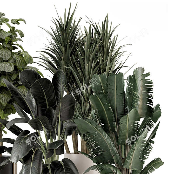 Modern Indoor Plants Set 1836 3D model image 3