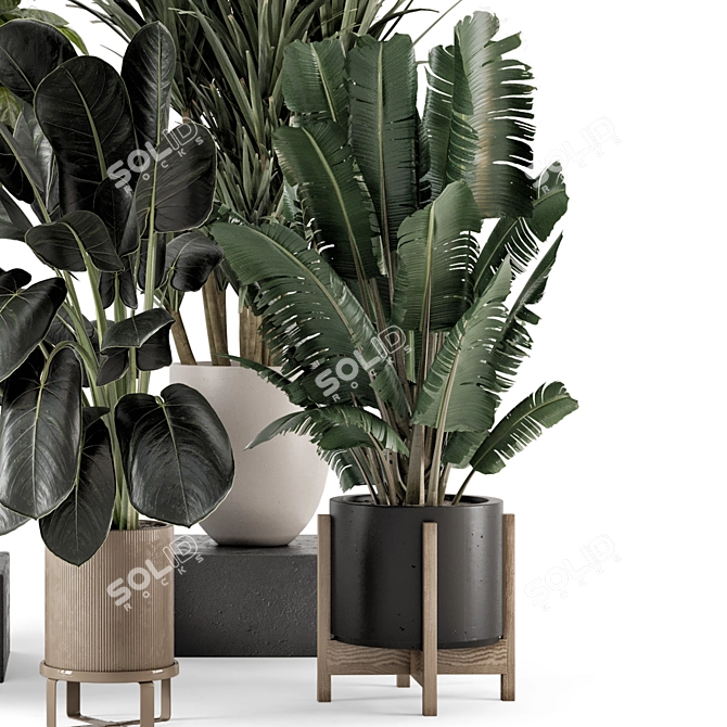 Modern Indoor Plants Set 1836 3D model image 4