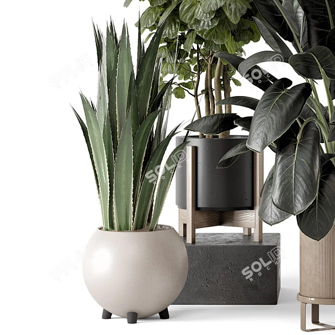 Modern Indoor Plants Set 1836 3D model image 5