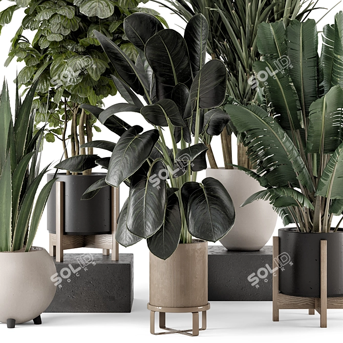 Modern Indoor Plants Set 1836 3D model image 6