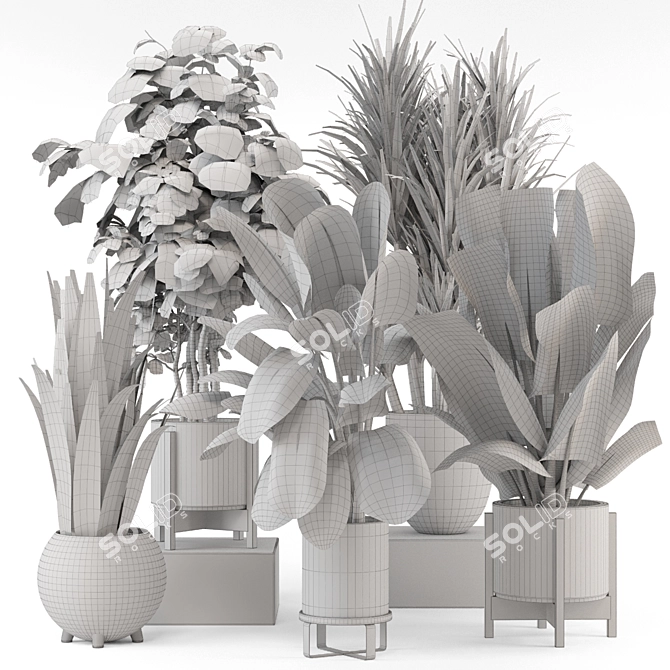 Modern Indoor Plants Set 1836 3D model image 7