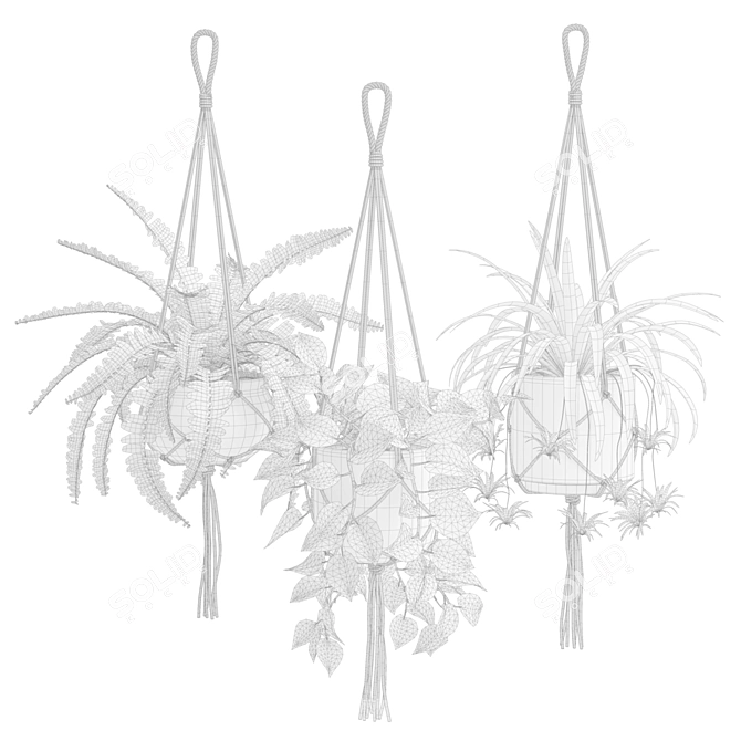 Exotic Indoor Hanging Plant Models 3D model image 3