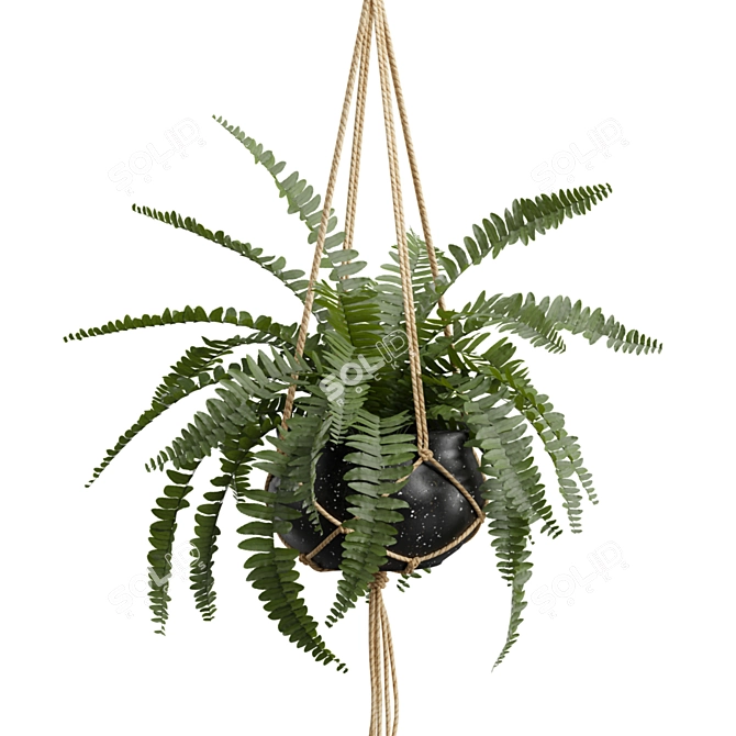 Exotic Indoor Hanging Plant Models 3D model image 4