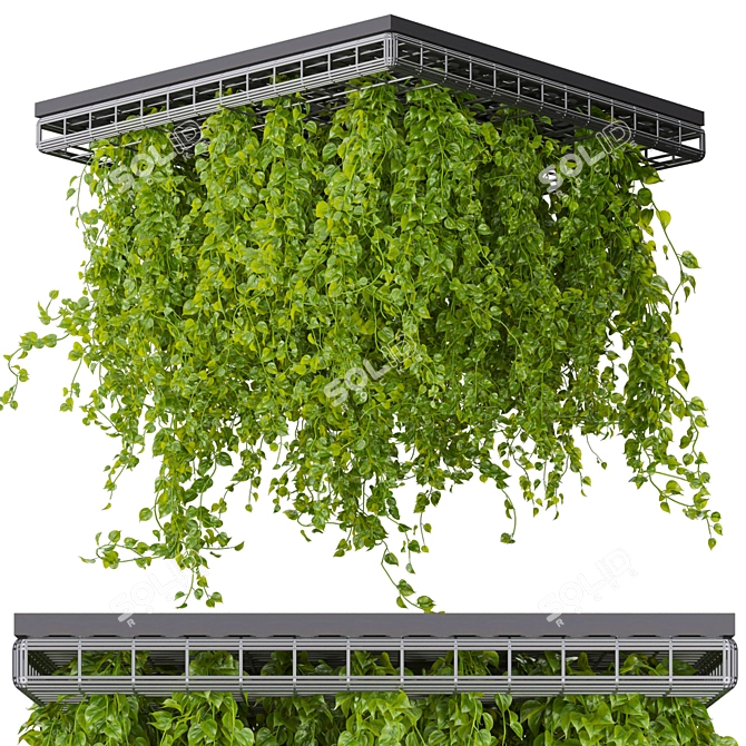 Hanging Ampelous False Ceiling Plant 3D model image 1