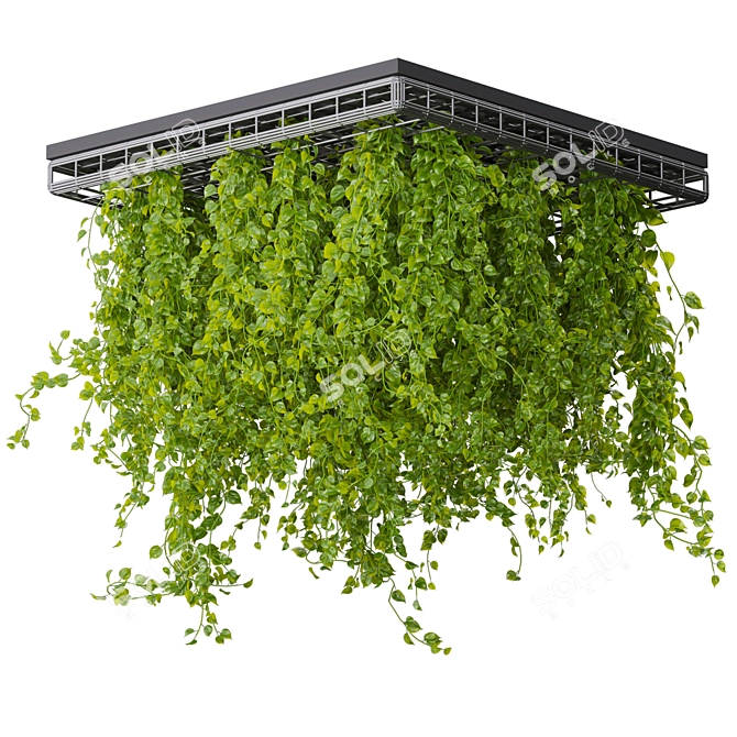 Hanging Ampelous False Ceiling Plant 3D model image 5