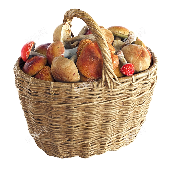 Mushroom Basket Collection - 3D Models 3D model image 1