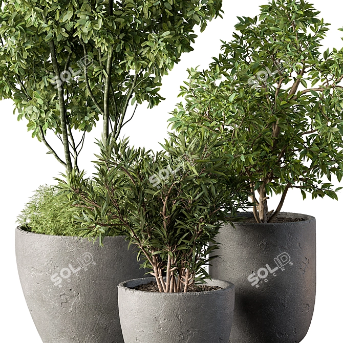 Potted Outdoor Tree Plant 3D model image 3