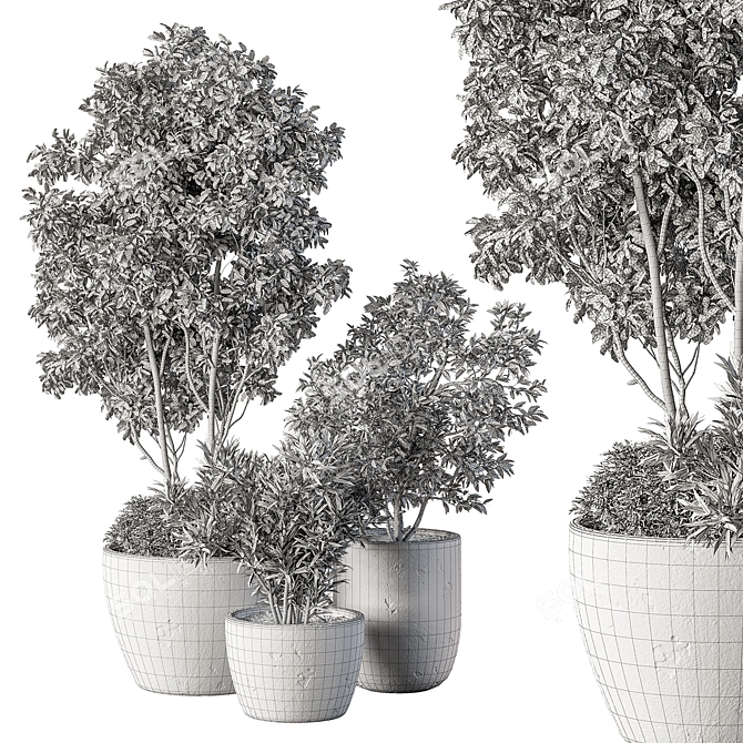 Potted Outdoor Tree Plant 3D model image 5