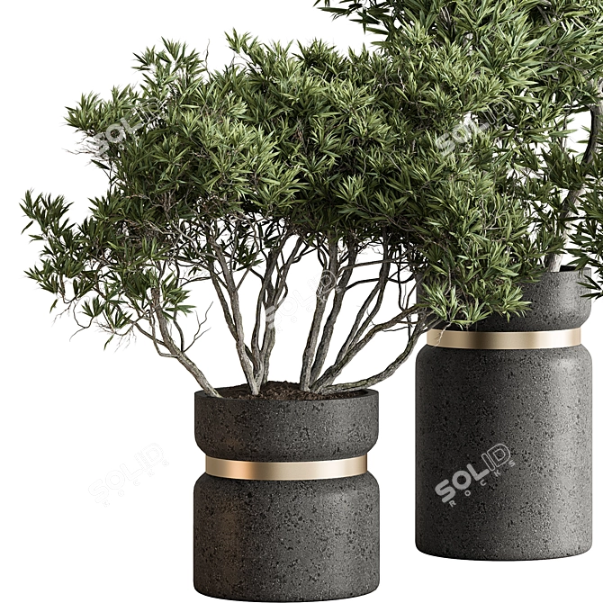 628 Indoor Tree Plant Pot 3D model image 2