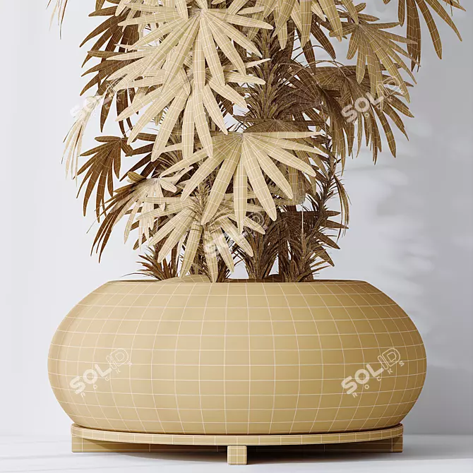 Premium Lady Palm 3D Models 3D model image 6