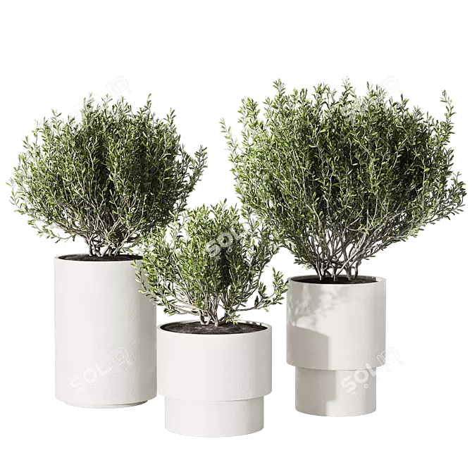 Minimalist Concrete Potted Live Plant 3D model image 1