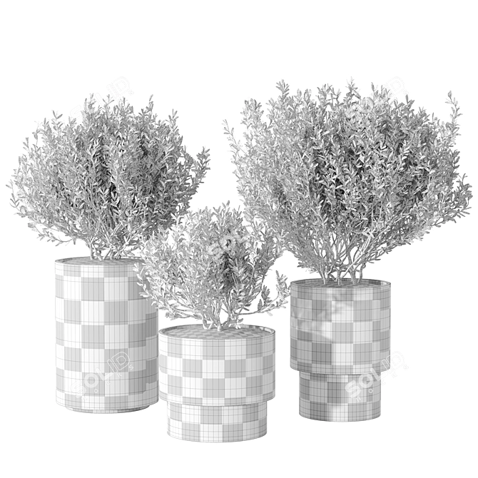 Minimalist Concrete Potted Live Plant 3D model image 5