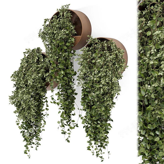 Concrete Pot Hanging Indoor Plants 3D model image 1