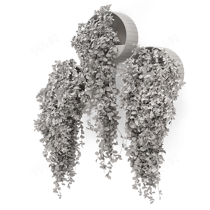 Concrete Pot Hanging Indoor Plants 3D model image 5