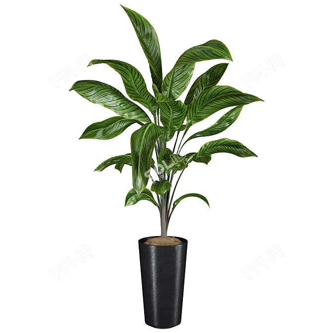 High-quality 3D Plant Models 3D model image 1