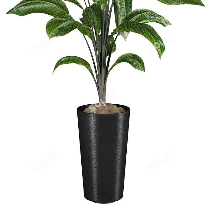 High-quality 3D Plant Models 3D model image 4