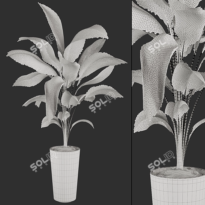 High-quality 3D Plant Models 3D model image 5