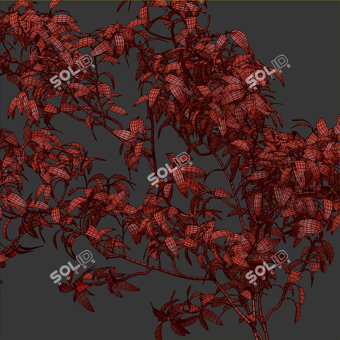 Modern Walnut Branch Decor Set 3D model image 5