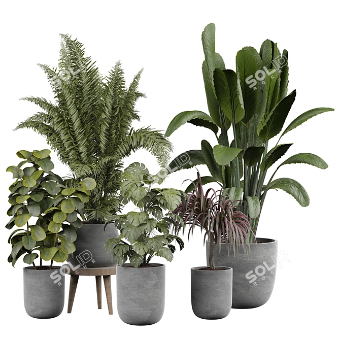 Elegant Indoor Plant 3D Model 3D model image 1