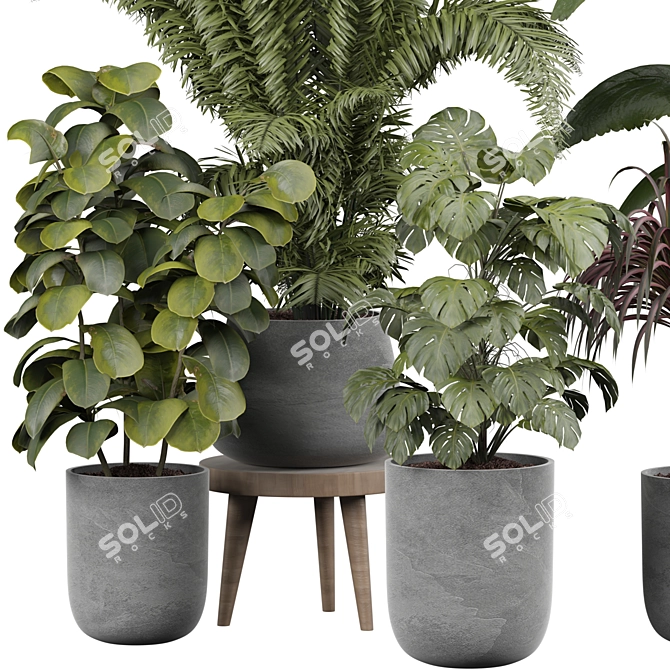 Elegant Indoor Plant 3D Model 3D model image 2