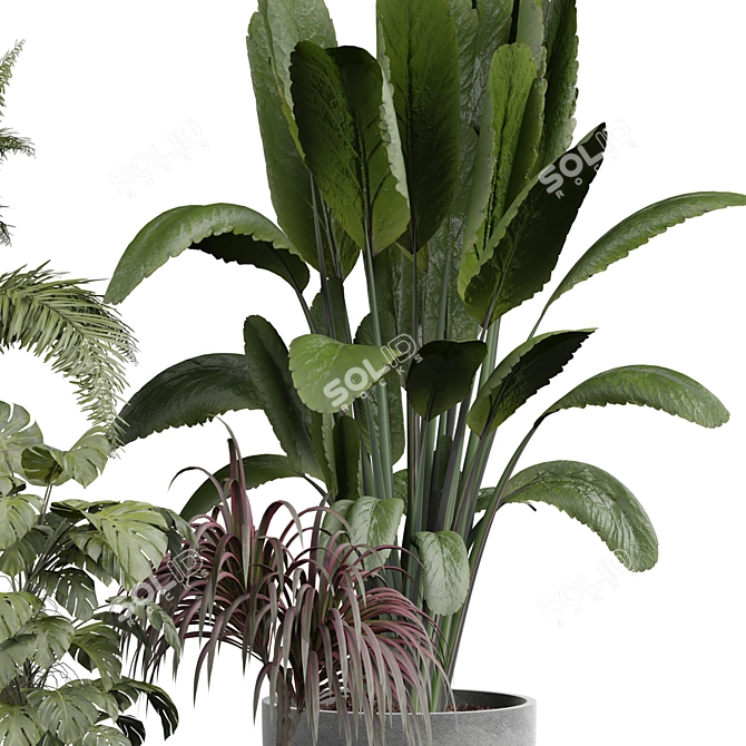 Elegant Indoor Plant 3D Model 3D model image 3