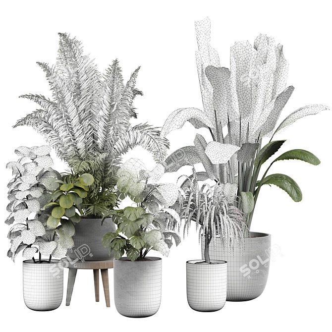 Elegant Indoor Plant 3D Model 3D model image 4