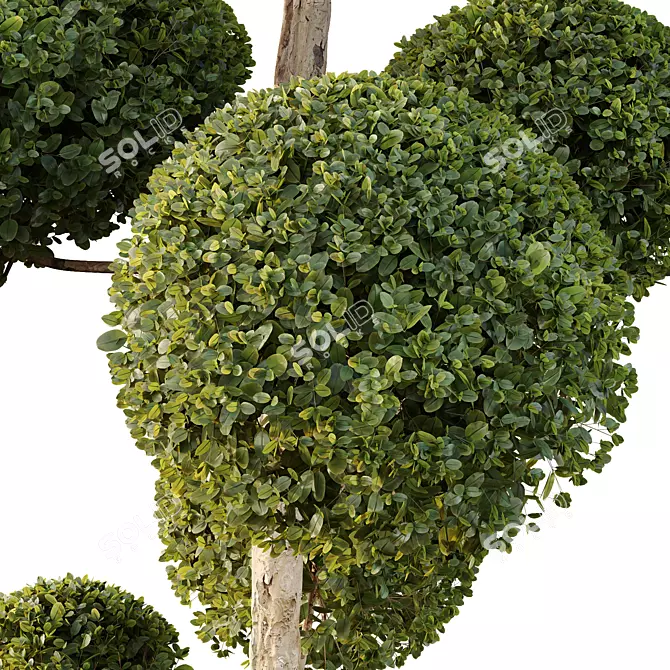 Urban Green Plant Bench Set 3D model image 5