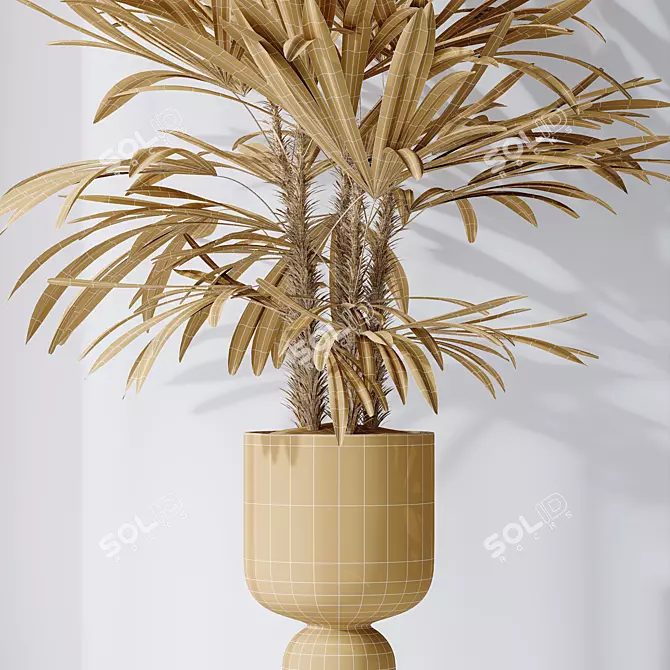 Rhapis Excelsa Lady Palm Set 3D model image 6