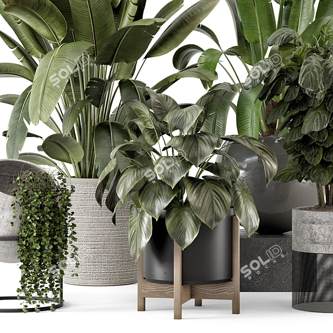  Ferm Living Bau Pot Set 3D model image 5