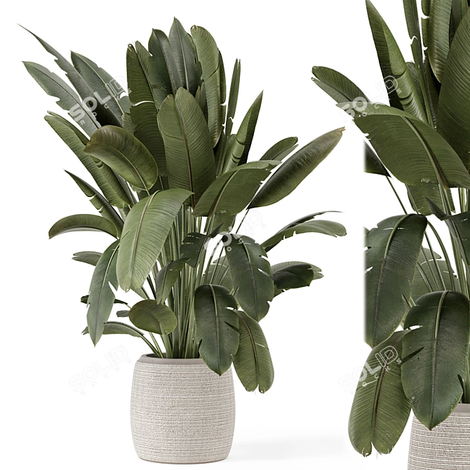  Handmade Stone Pot Indoor Plants 3D model image 1