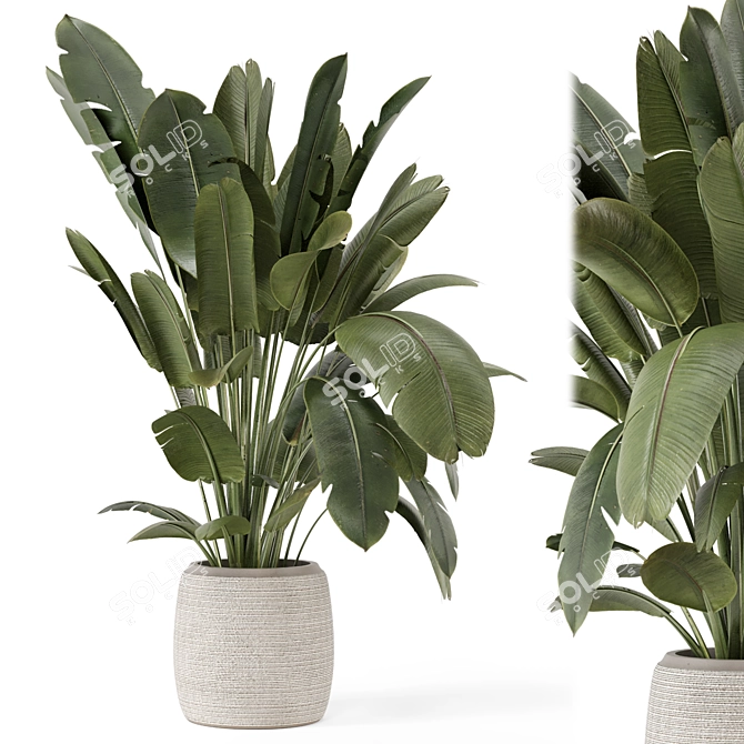  Handmade Stone Pot Indoor Plants 3D model image 2