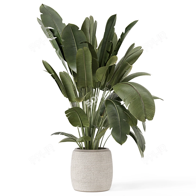  Handmade Stone Pot Indoor Plants 3D model image 3