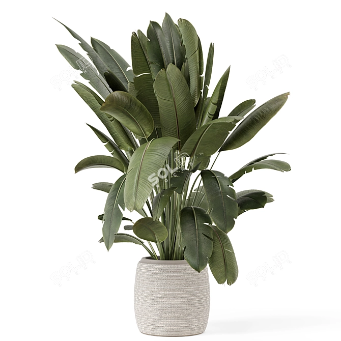  Handmade Stone Pot Indoor Plants 3D model image 4