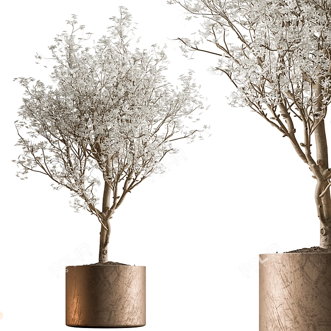 Gorgeous Bonsai Plant 624 3D model image 2