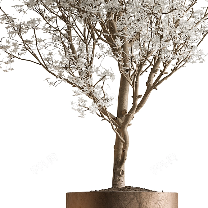 Gorgeous Bonsai Plant 624 3D model image 4