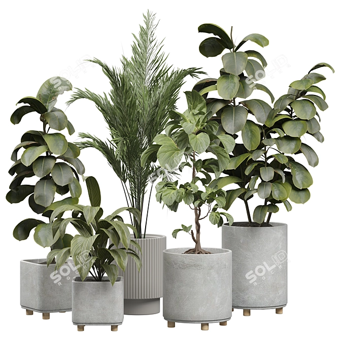 Modern Indoor Plant Model 452 3D model image 1